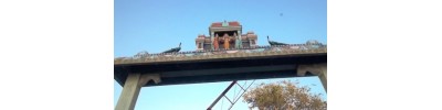 தென்சேரி மலை - கோயம்புத்தூர்